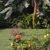 Отель Colonial Residence, фото 10