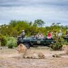 Отель Shindzela Tented Safari Camp, фото 11