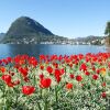 Отель Maraini Lake View, фото 8