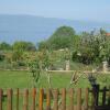Отель Ristos Guest House, фото 17