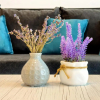 Отель Apartament Aqua 22 - ByChoice, фото 9