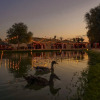 Отель Al Marmoom Oasis 