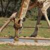 Отель Valley Bushveld Country Lodge, фото 12