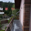 Отель Pensiunea Indra Sinaia, фото 14
