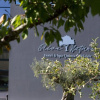 Отель Olive Nature Hotel & SPA - Quinta Valle de Passos, фото 28