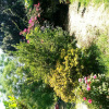 Отель Foximanna on the North Floor in a Villa Surrounded by Greenery Facing the sea, фото 20