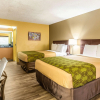 Отель Econo Lodge Moss Point - Pascagoula, фото 6