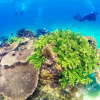 Отель Boundary Island Sea Fishing Club, фото 9