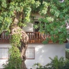 Отель Bfa 1 - Casa Con Piscina, Pista De Tenis, Jardin,, фото 22
