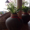 Отель Pierhouse Lodging, фото 8