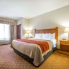 Отель Comfort Inn & Suites Las Vegas - Nellis, фото 20