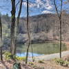 Отель Secluded Black Mountain Cabin w/ On-site Pond!, фото 12