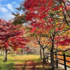 Отель Hakuryuko Resort, фото 32