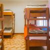 Отель The Adventure Brew Downtwon Hostel, фото 10