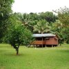 Отель Daintree Rainforest Bungalows, фото 3