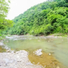 Отель Goesan Dalmaji Pnsion, фото 18