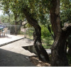Отель Single Family Villa, 6 people, 3 bedrooms, 1 bathroom, 600 mt to the beach-VILLA LIDO, фото 11