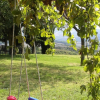 Отель Splendid villa with view in Castiglioncello sul Trinoro-VALLOCCHIE, фото 13