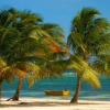 Отель Bayahibe Guesthouse, фото 10