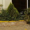 Отель Rosaline Suites Hotel, фото 1