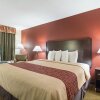 Отель Red Roof Inn PLUS+ Dallas – Addison, фото 5