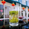 Отель Yuanyuge Guesthouse, фото 4