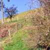 Отель Holiday Home Adjacent To Owners Farmhouse Around 10Km From The Town Of Builth Wells в Duhonw