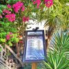 Отель Conch Adventure by Avantstay Great Location w/ Patio, Outdoor Dining and Shared Pool! Week Long Stay в Ки-Уэсте