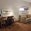 Отель SpringHill Suites Deadwood, фото 41