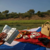 Отель Sawai Shivir Ranthambore by TUTC, фото 13