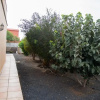 Отель Villa Maravilla Fuerteventura, фото 12