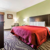 Отель Quality Inn & Suites near Coliseum and Hwy 231 North, фото 6