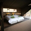 Отель Jackalberry Tented Camp, фото 5