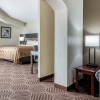 Отель Quality Inn & Suites, фото 14