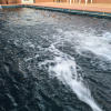 Отель Best Western Dragon & Phoenix Motel, фото 6