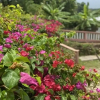 Отель Yanceylargo Estate - Newly Renovated 7br Beautiful Two-story Estate Villa W Gorgeous Mountain View 7, фото 34
