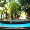 Отель Casa Coyoacan, фото 23
