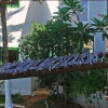 Отель Chales Bouganville, фото 6