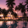 Отель Tropica Island Resort - Adults Only, фото 22