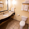 Отель Holiday Inn Express Hotel & Suites Harrisburg West, an IHG Hotel, фото 7