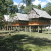 Отель Amazon Eco Tours & Lodge, фото 14
