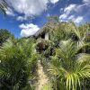 Отель Popoyo Casa Manglar, фото 42