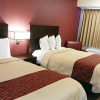 Отель Red Roof Inn PLUS+ Chicago - Hoffman Estates, фото 17