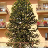 Отель Giardino Fiorito, фото 1