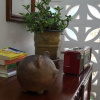 Отель Nha Homestay, фото 29