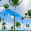 Отель Palm Green Vacations Whitesands, фото 45