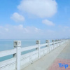 Отель Beihai Love Home Homestay, фото 4