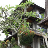 Отель Pande Permai Bungalows, фото 19