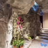 Отель Yinyu Tingchan Hot Spring Bed and Breakfast, фото 11
