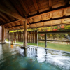 Отель 1000 Years of Tradition - Akiu Onsen Sakan, фото 17